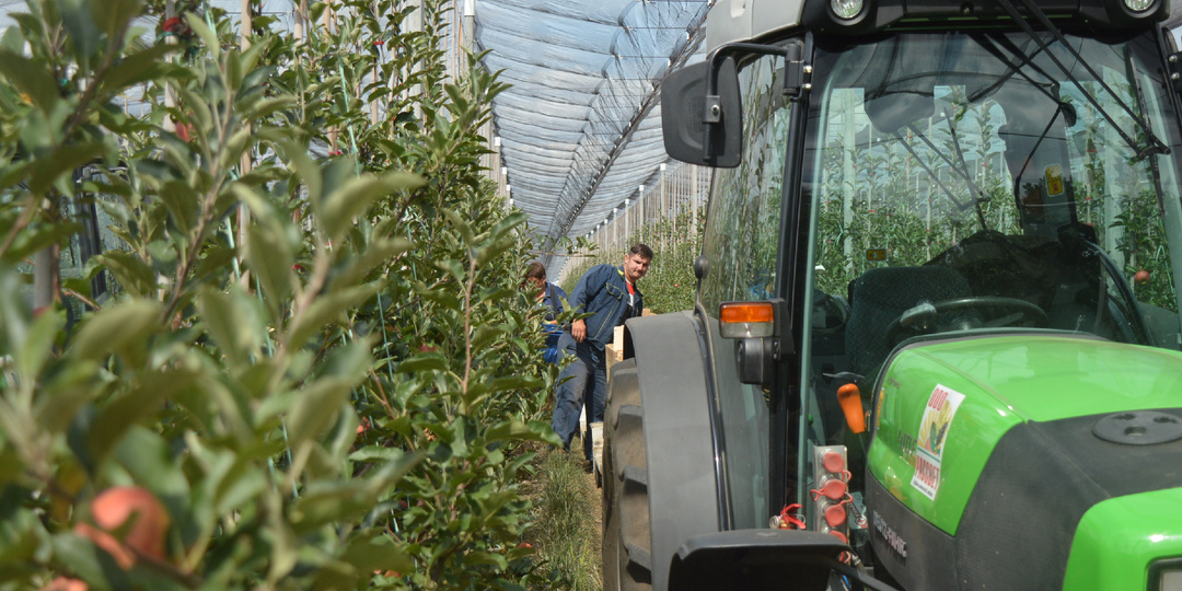 Как будет apple по-русски? Народные приметы и супертехнологии, в которые верит директор «Рассвета»