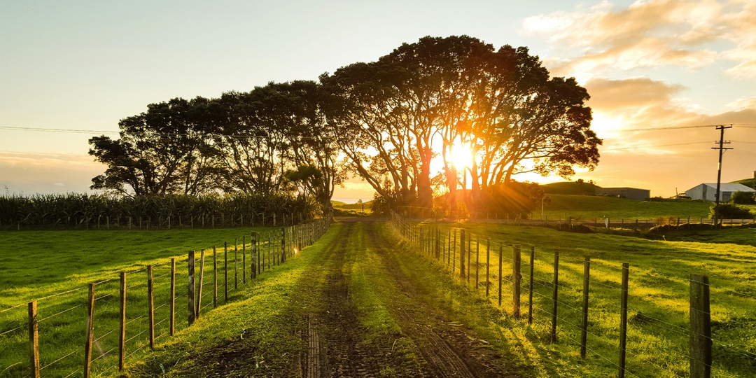 Семья фермеров из Кентукки отказалась продавать землю под дата-центры за $26 млн