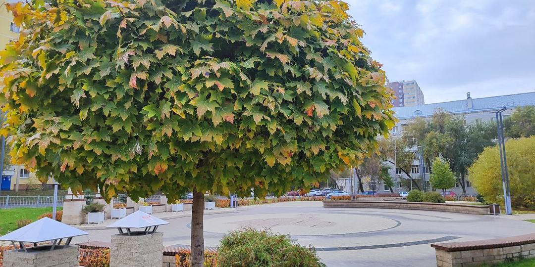 Непосильный труд свекрови. Глава 1.