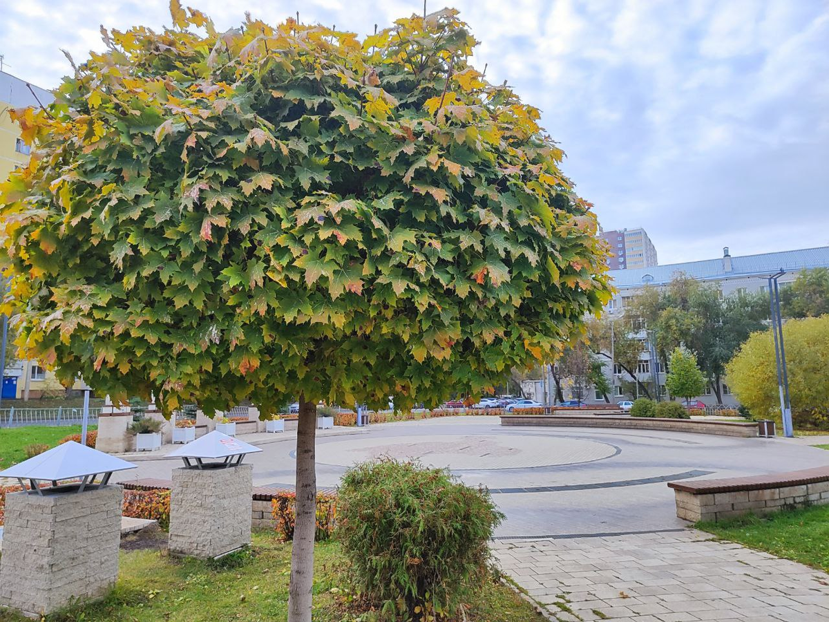 Фото автора.