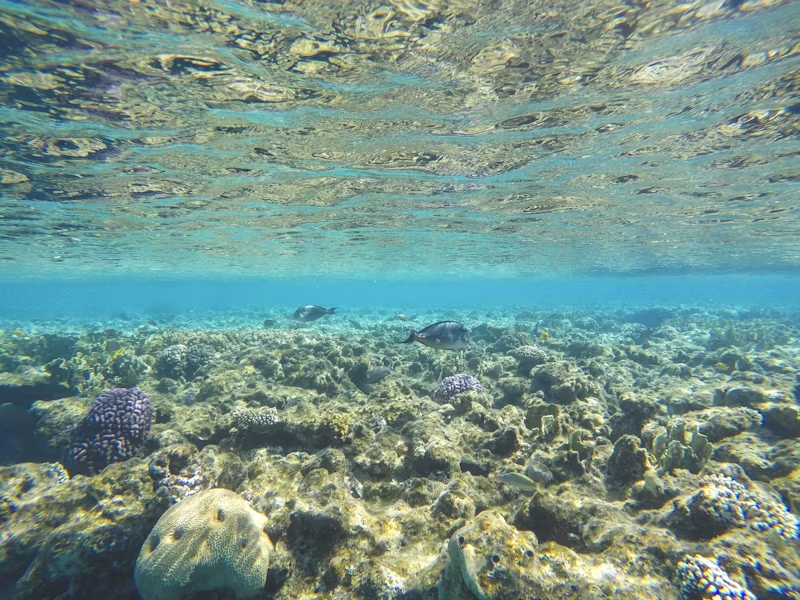 Необычайно чистая и прозрачная вода Красного моря
