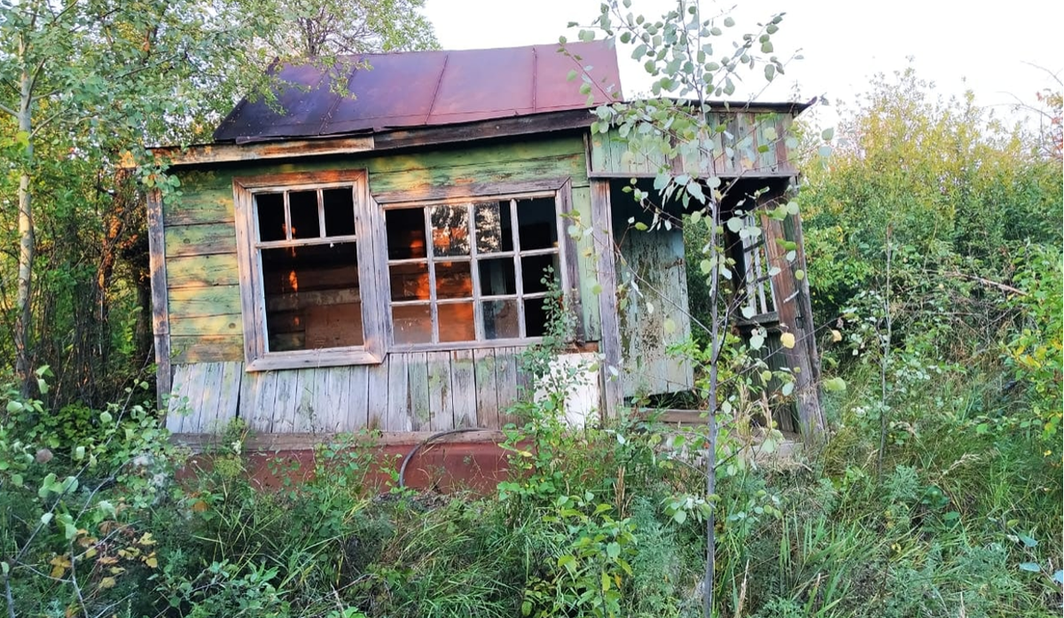 Не ухаживаешь за дачным участком — продавай