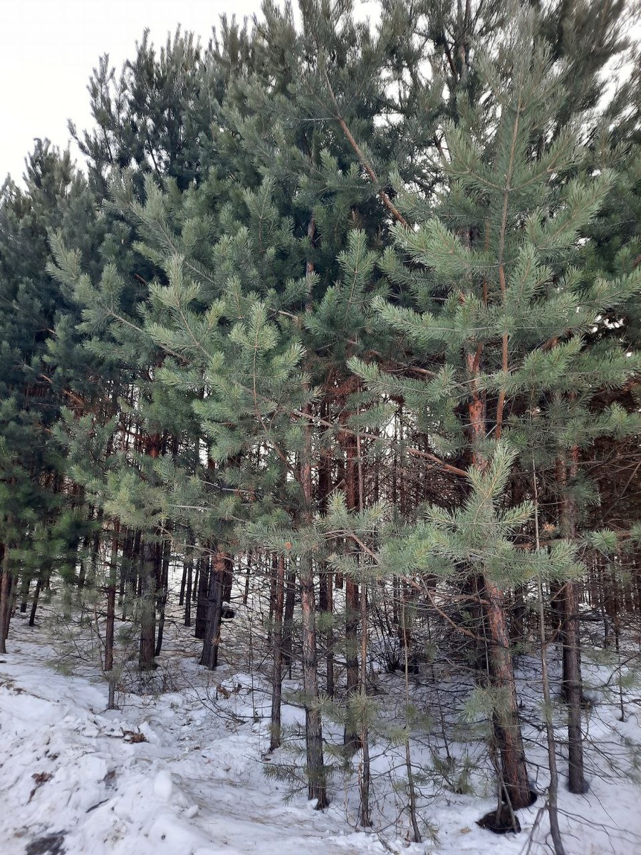 Фото автора.