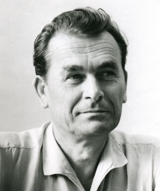 Сам автор домашних и добродушных лисиц. Дмитрий Беляев.