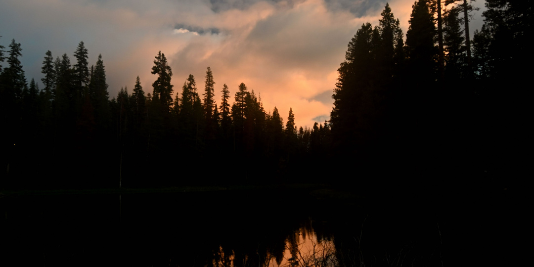 Потерянный ребенок