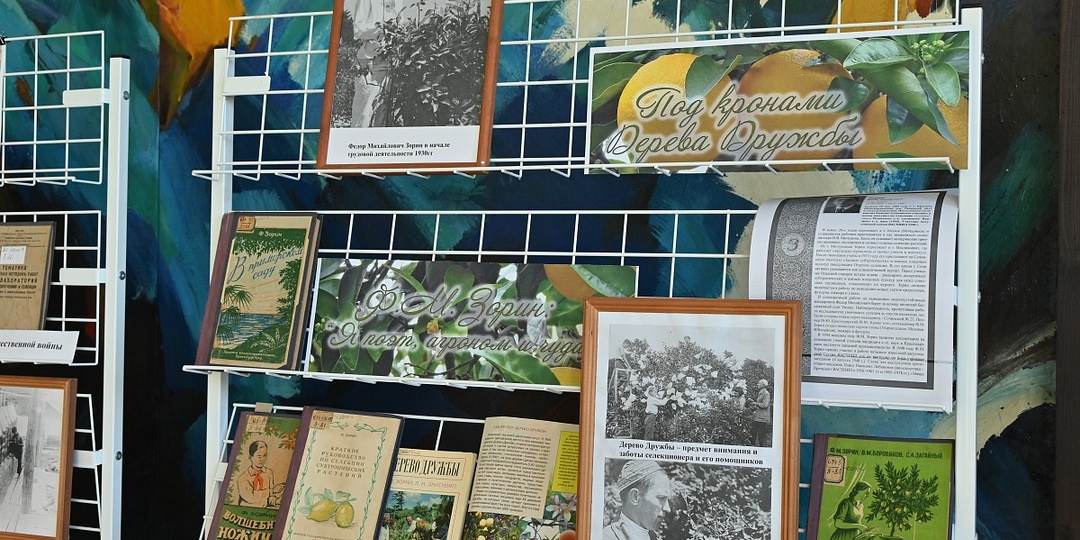 Уникальный сочинский музей «Дерево Дружбы» отмечает 45-летие