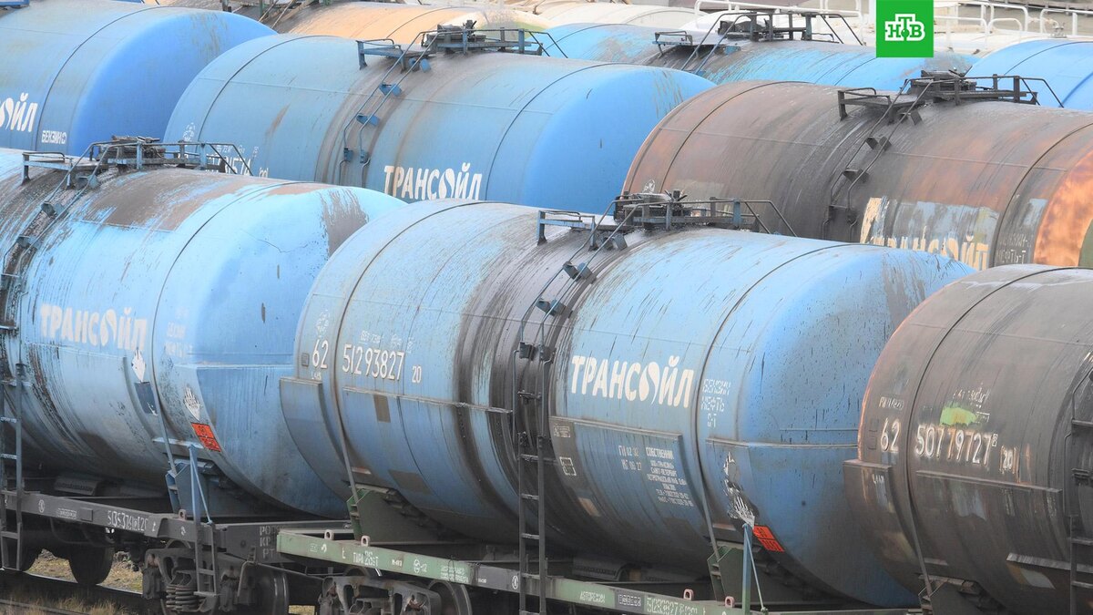    Фото: РИА Новости © 2026, Илья Питалев