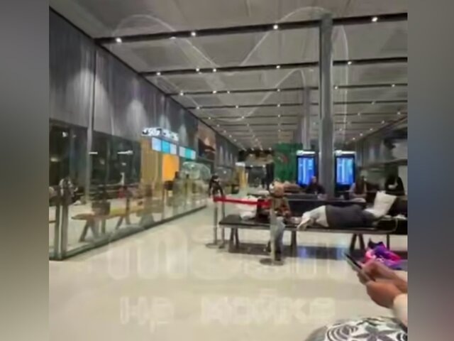    Фото: телеграм-канал Mash на Мойке