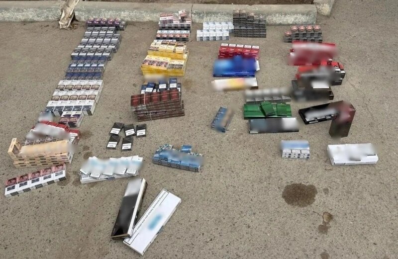    Фото: ГУ МВД РФ по РО