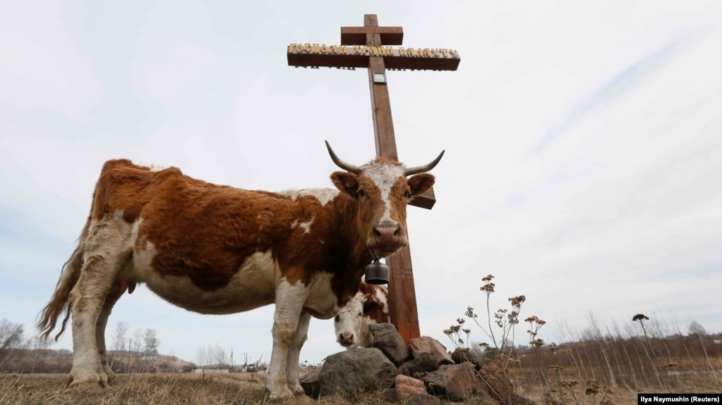 Иллюстративное фото