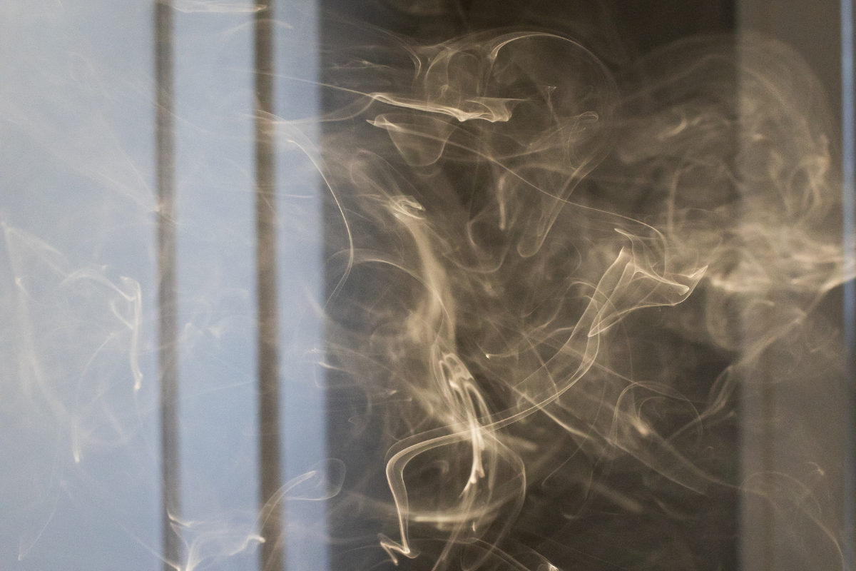 Фото: ИА " Регион 71"