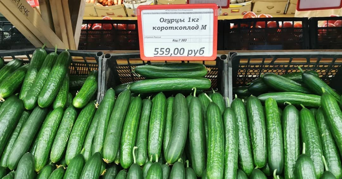 Огурцы как индикатор реальности