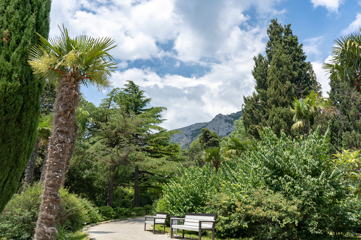 Форосский парк // Фото предоставлено санаторием «Форос»