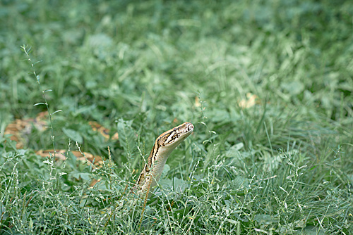    /  ФОТО freepik.com Администратор