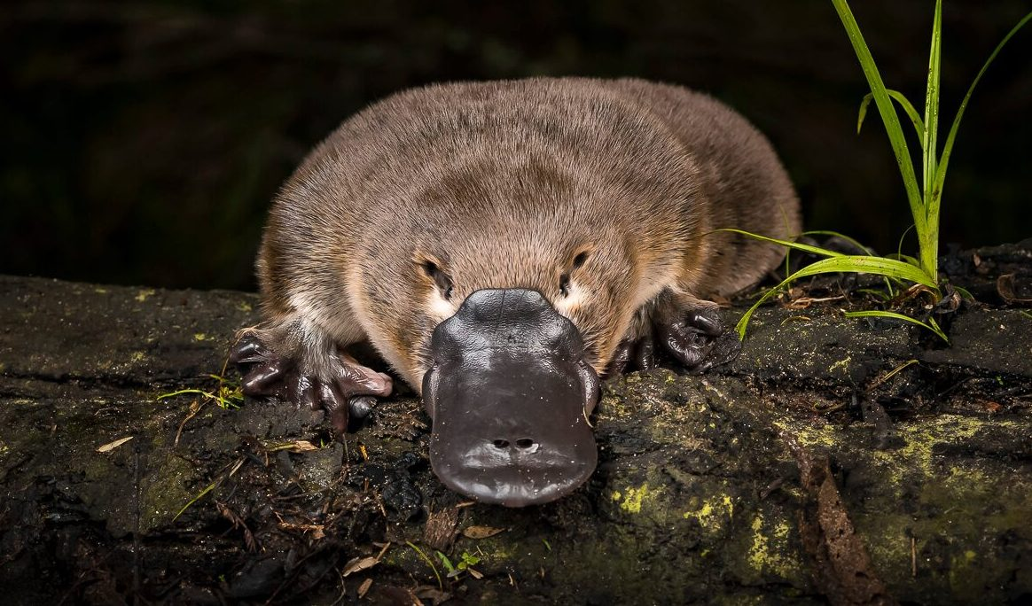 Привет. Это я.