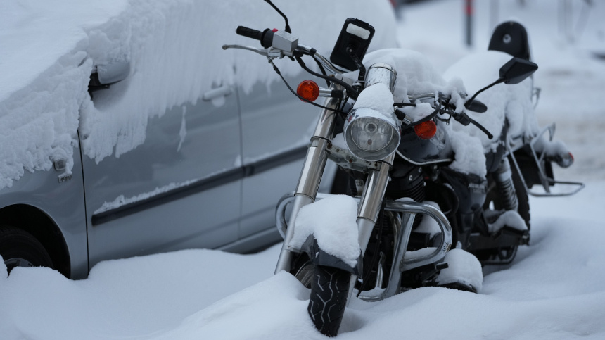    Фото: ИЗВЕСТИЯ/Дмитрий Коротаев; 5-tv.ru