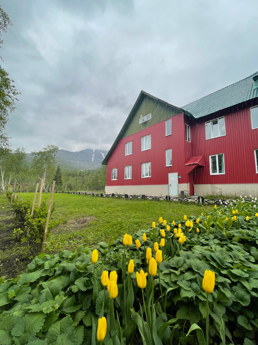 Полярно-альпийский ботанический сад-институт им. Н. А. Аврорина, г. Апатиты, Мурманская область, июль, 2025