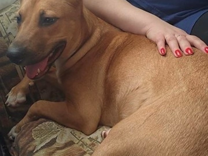 🆘 СРОЧНО! ЭТОЙ МАЛЕНЬКОЙ ЖИЗНИ НУЖЕН ШАНС! 🆘