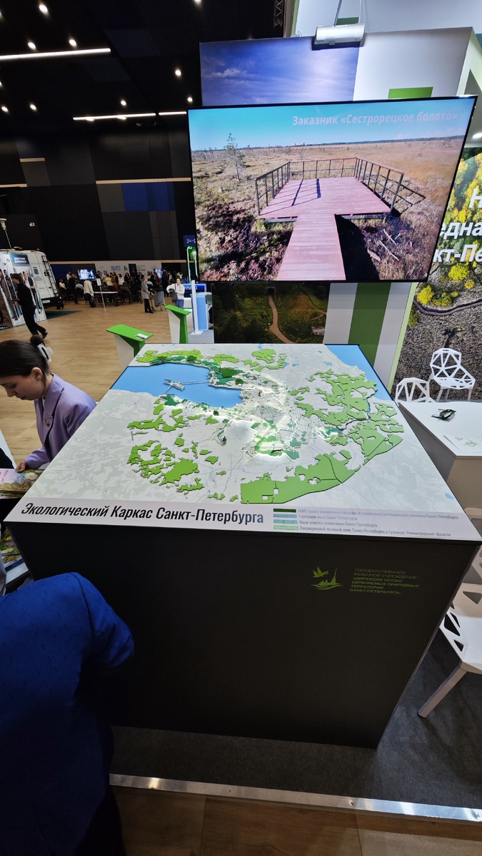 Красивая карта-макет