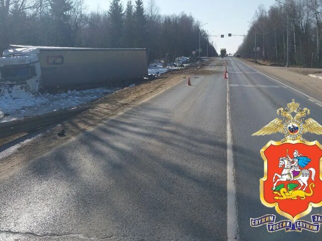    Фото: телеграм-канал "Подмосковная полиция"