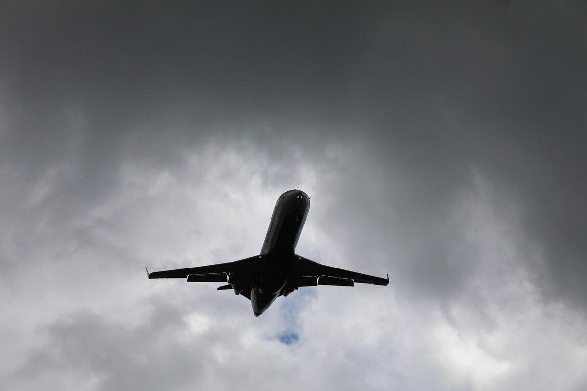 Фото: Роман Пименов/«Петербургский дневник»