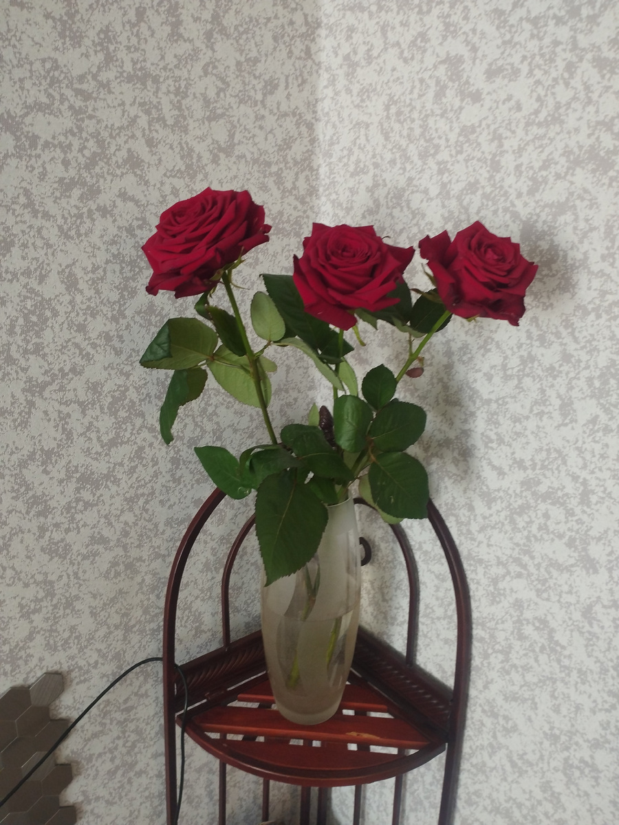 Розы в подарок как напоминание о том непростом дне :)