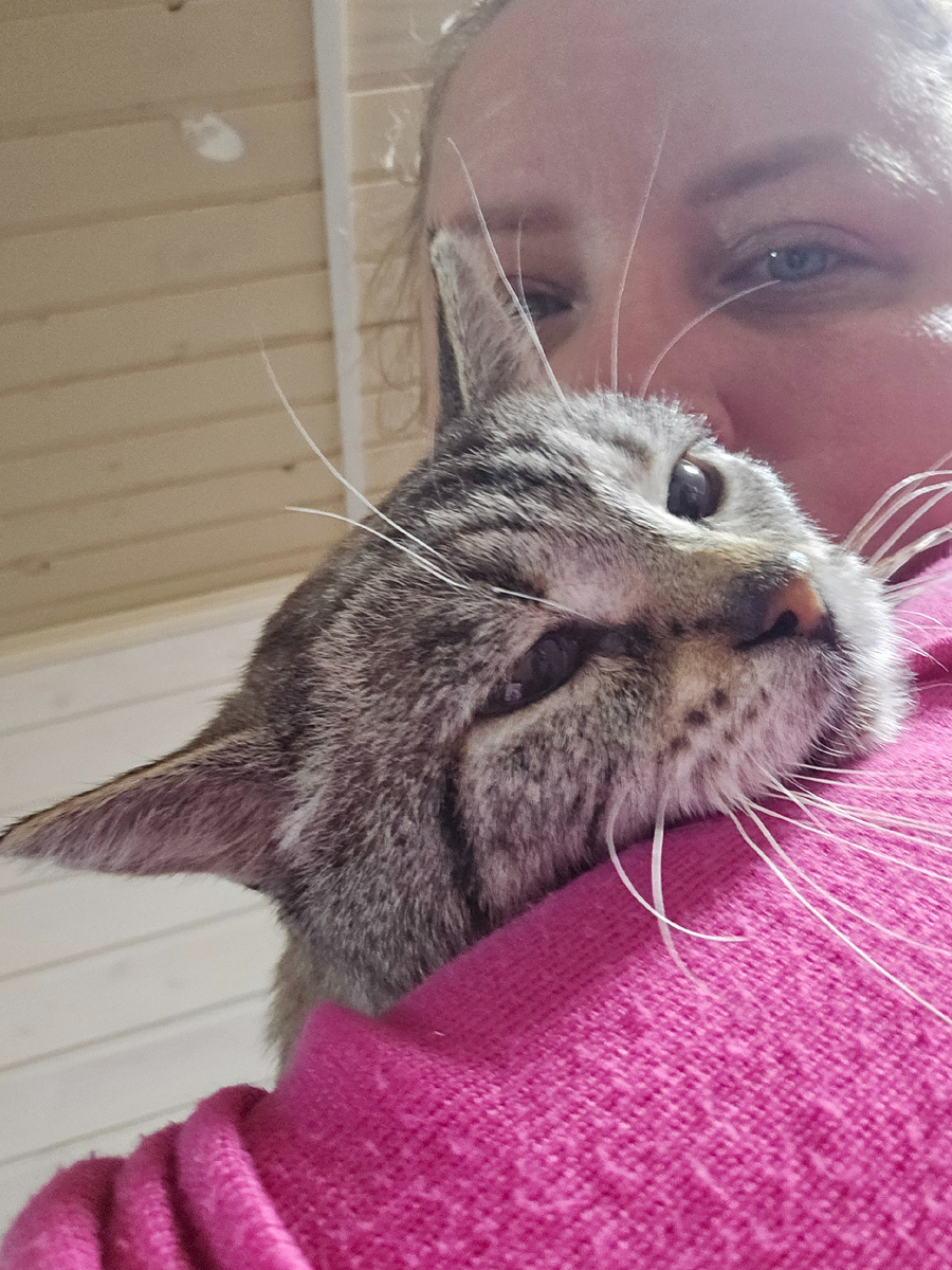 Фото автора. Помогите спасти КотЯ.