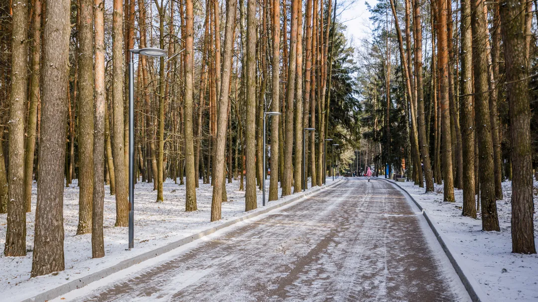 Фото: медиасток.рф