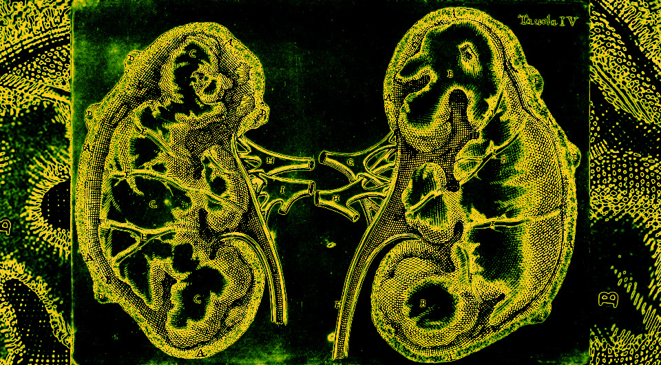   N + 1; Wellcome Collection / CC-BY-4.0