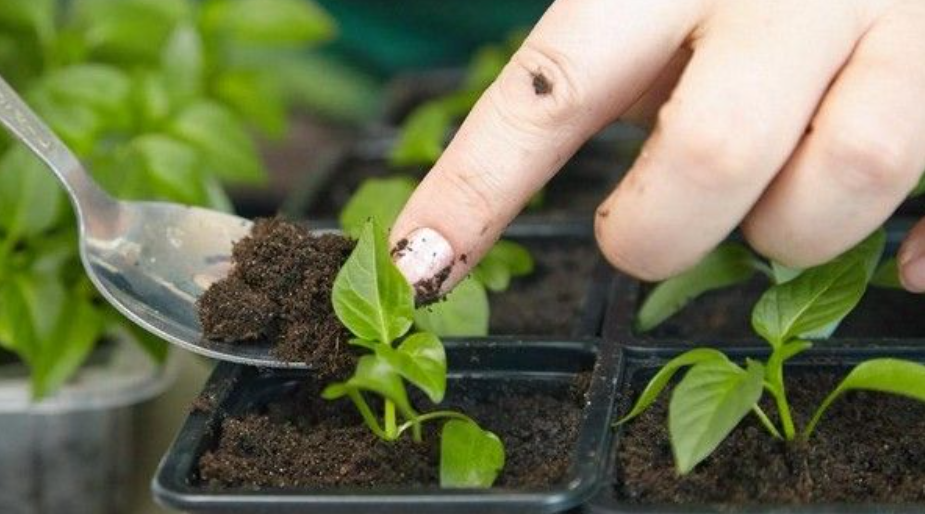 Всему свое время 