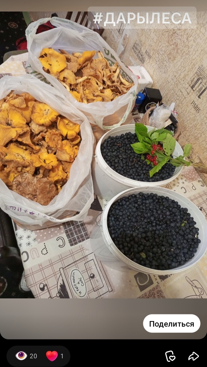 Из архива автора, июль 2022г.