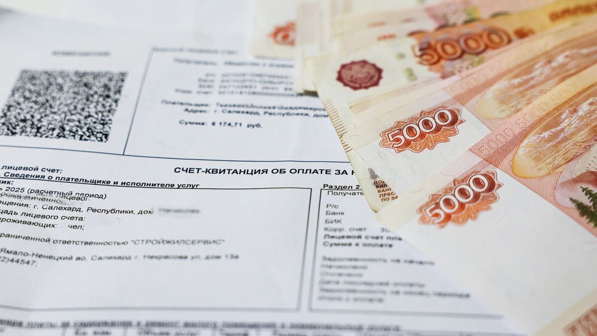    Фото: Андрей Ткачев / «Ямал-Медиа»