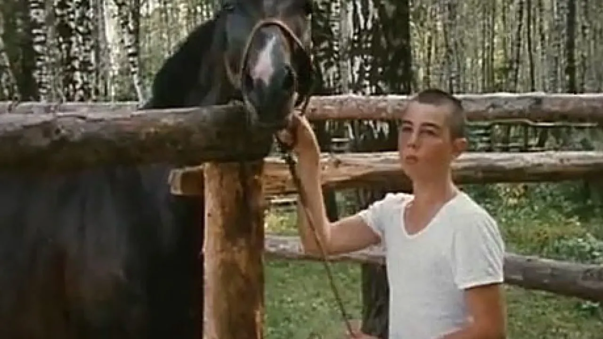 «Я тебя ненавижу»