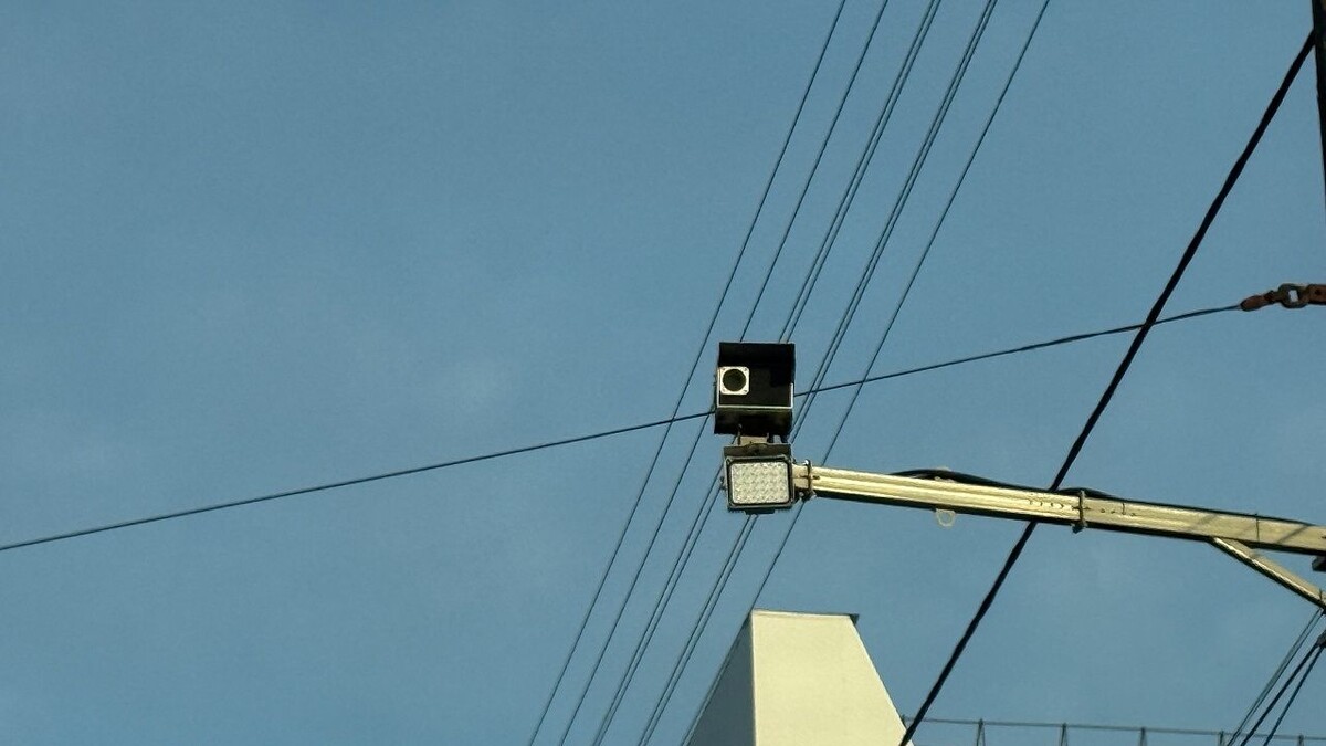    Фото: телеканал «Краснодар»