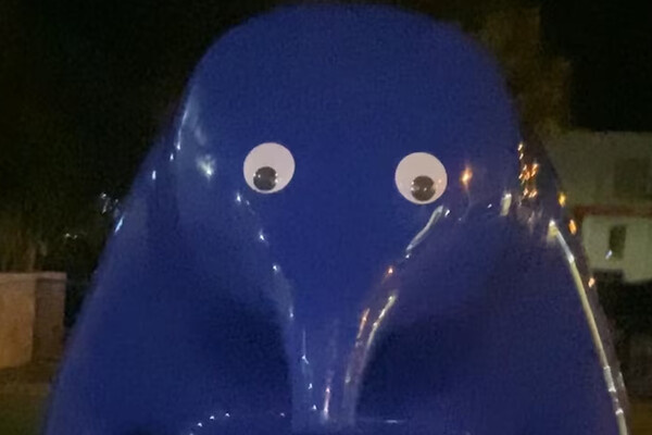 Amelia Vanderhorst/Facebook   📷