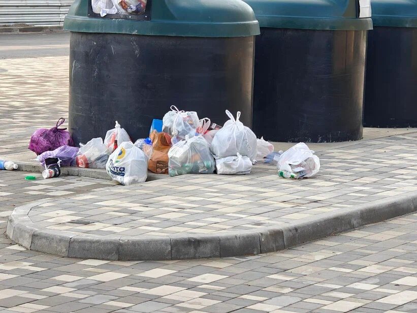    Фото: Юрий Серебренников/BFM Кубань