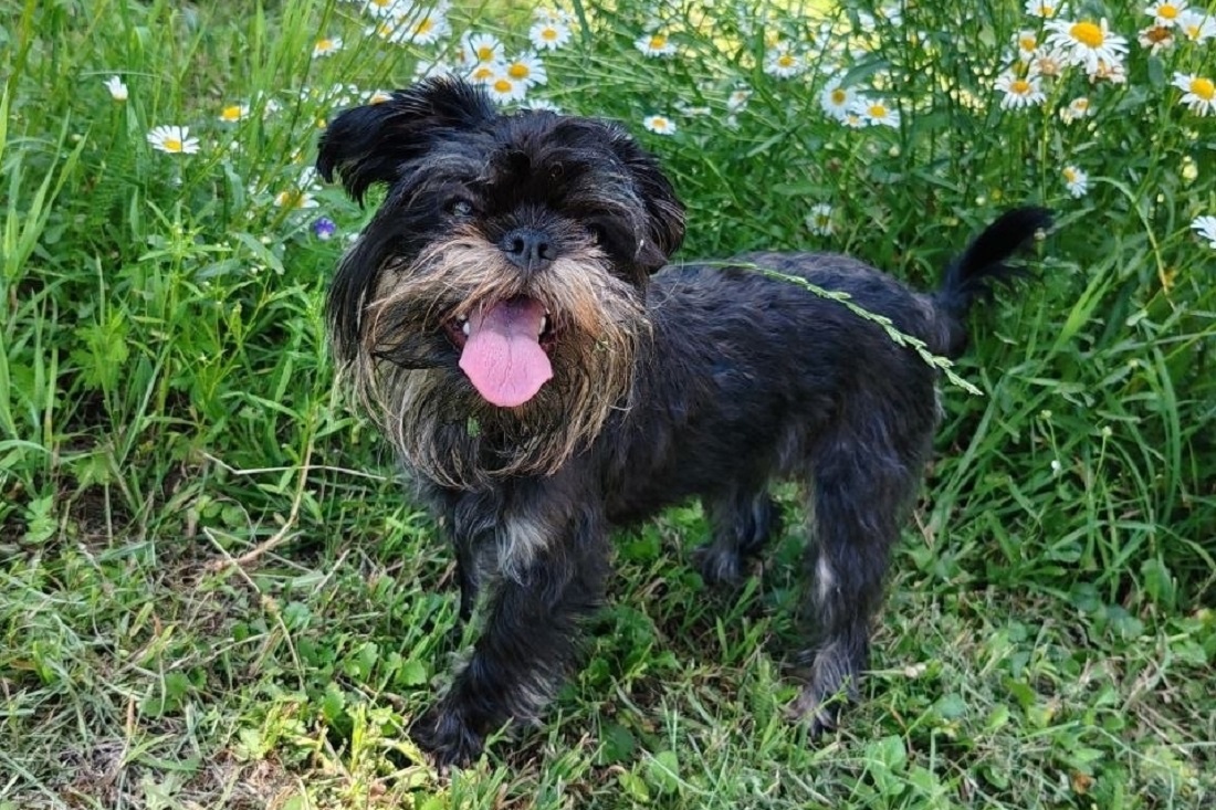    Фото: читатель nsknews.info