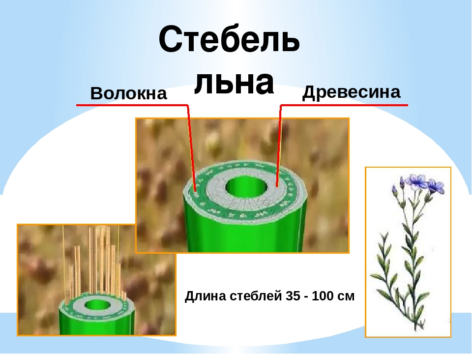 Украли из чьей-то презентации...