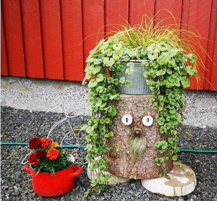 фото из открытого источника.