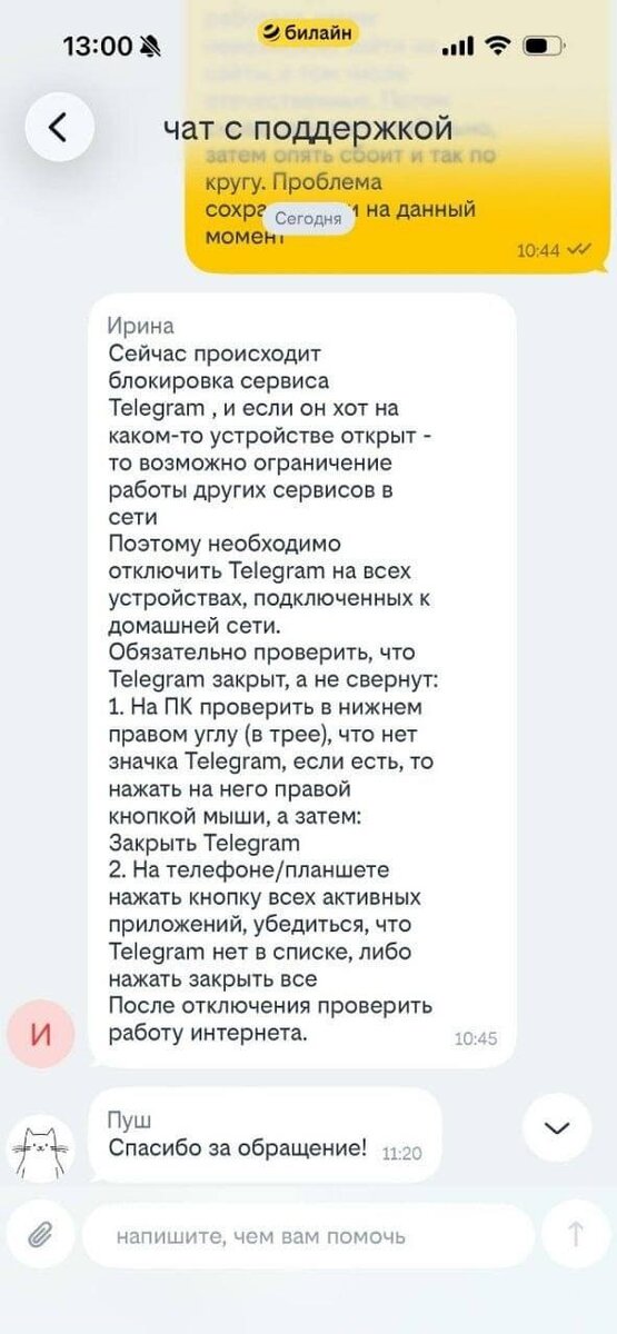     Скриншот переписки с техподдержкой оператора