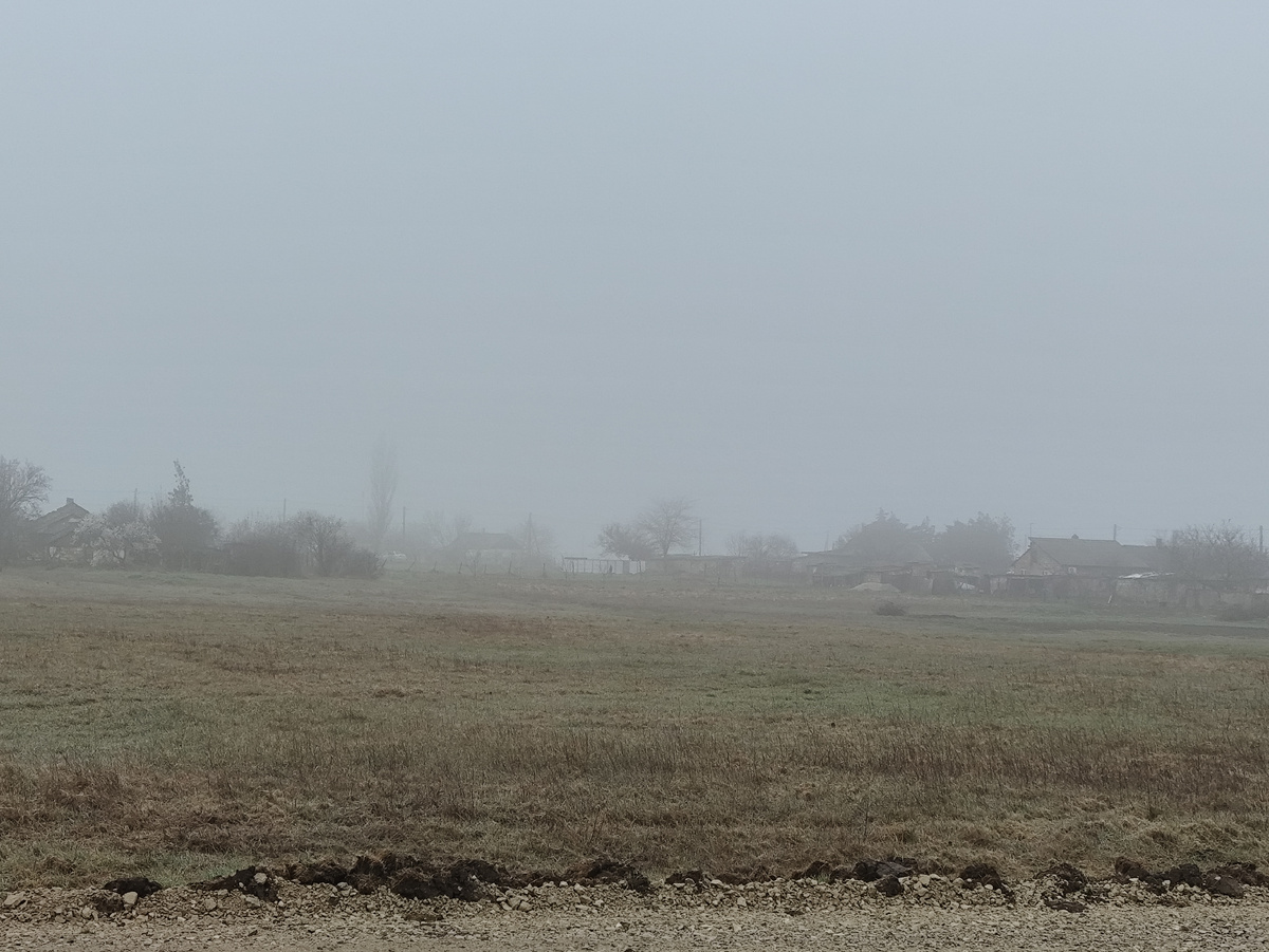 Утро вот такое...