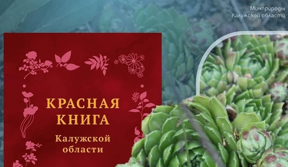    В Калужской области уточнили списки редких видов для Красной книги.