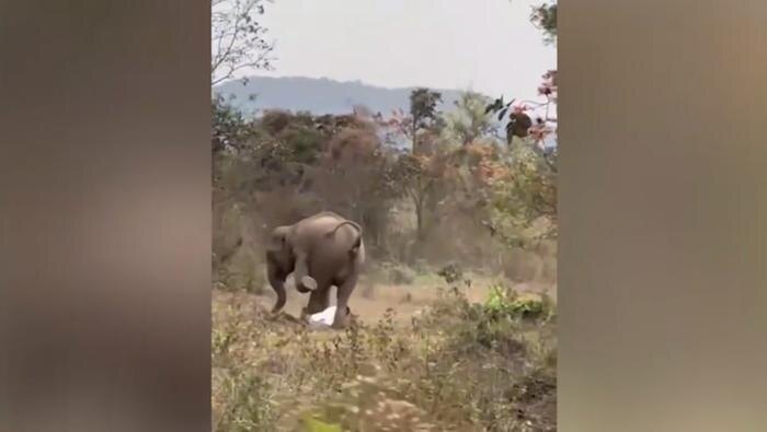 Обложка © Х / Manas Muduli