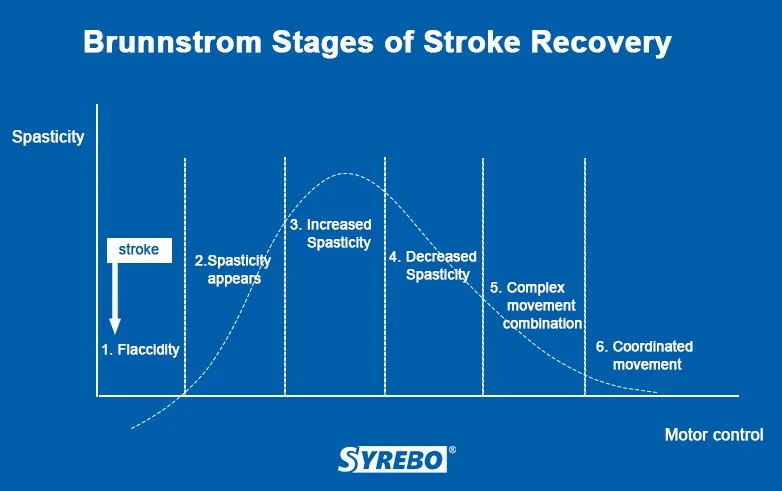 Стадии восстановления по Браннстрем: 1) вялая 2) ранняя спастичность 3) высокая спастичность 4) снижение спастичности 5) формирование сложных движений 6) координированные движения. Ссылка: http://m.ru.syrebo.com/info/6-stages-of-stroke-recovery-and-the-targeted-t-72791844.html 