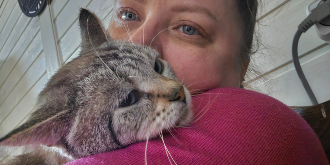 КотЯ. Помогите. Помогите спасти.