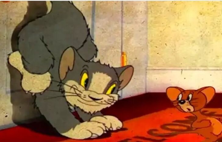 © Tom and Jerry / Metro-Goldwyn-Mayer