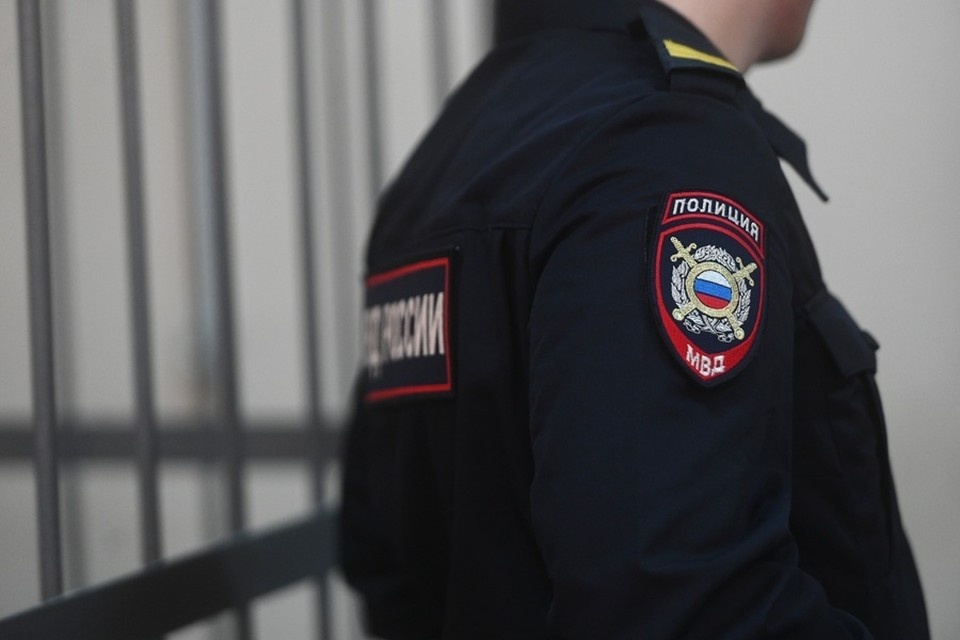    В Мариуполе полицейские задержали двух мужчин, причастных к серии краж (архивное фото) Ольга ЮШКОВА