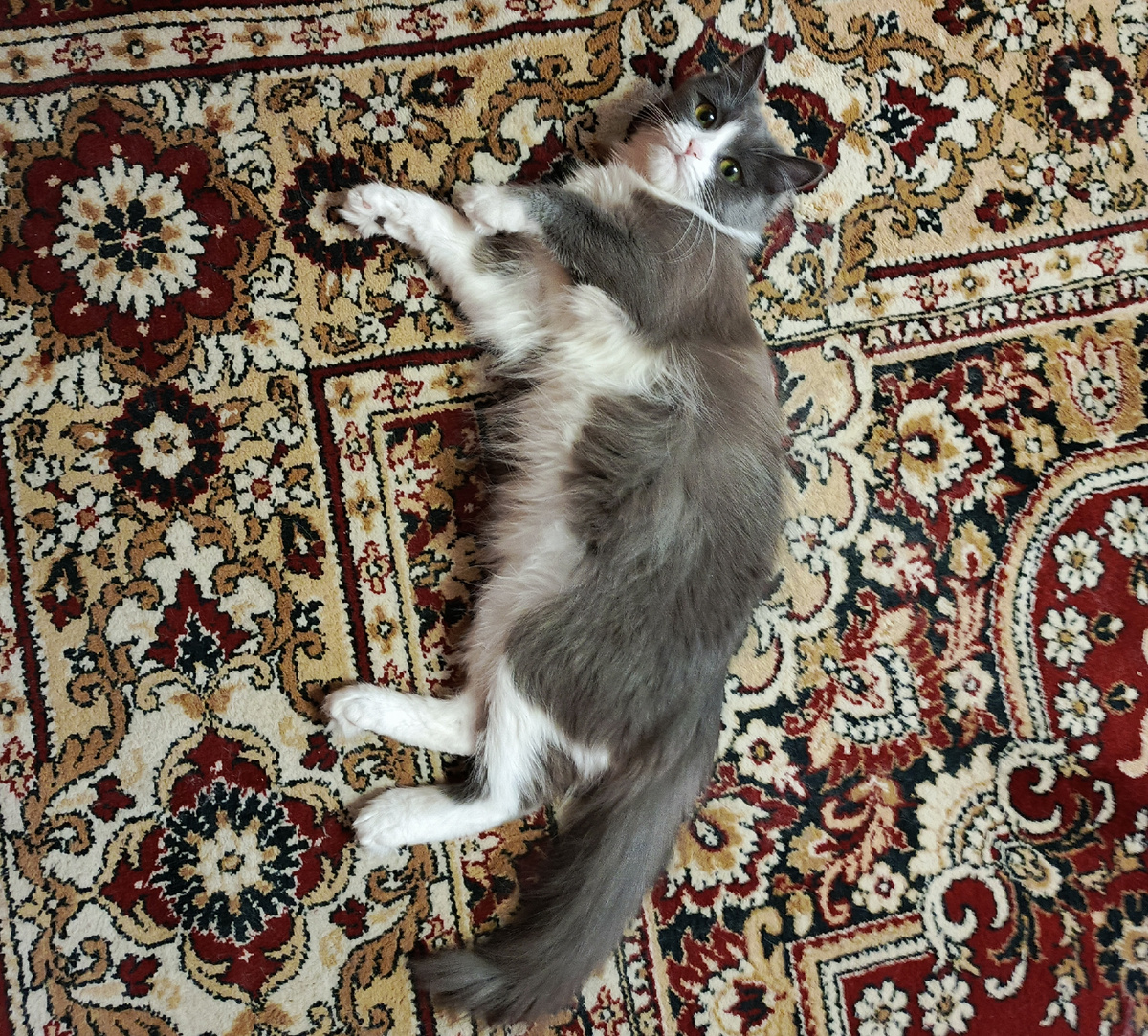 Фото автора