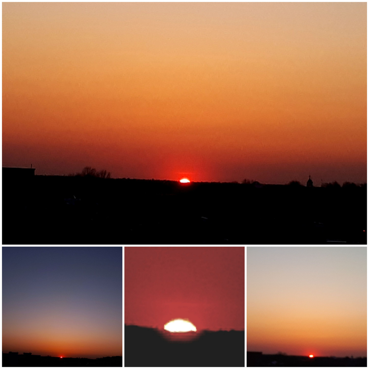 Коллаж автора 25.03.2026г.