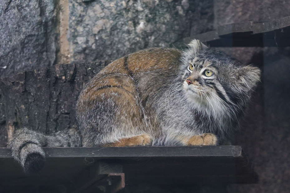    Наталья Шатохина/NEWS.ru